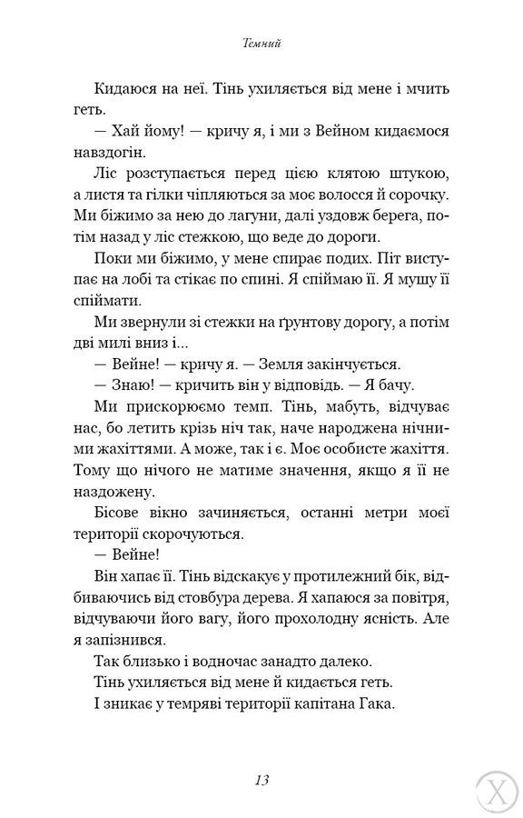 Розпусні загублені хлопці. Темний. Книга 2 23954 фото