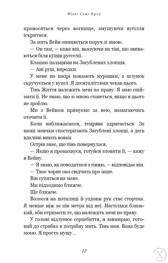 Розпусні загублені хлопці. Темний. Книга 2 23954 фото