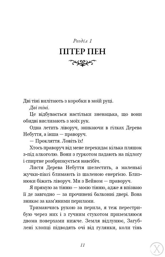 Розпусні загублені хлопці. Темний. Книга 2 23954 фото