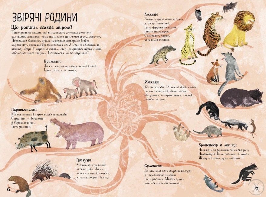 Велика книга звірів, Nie wiadomo