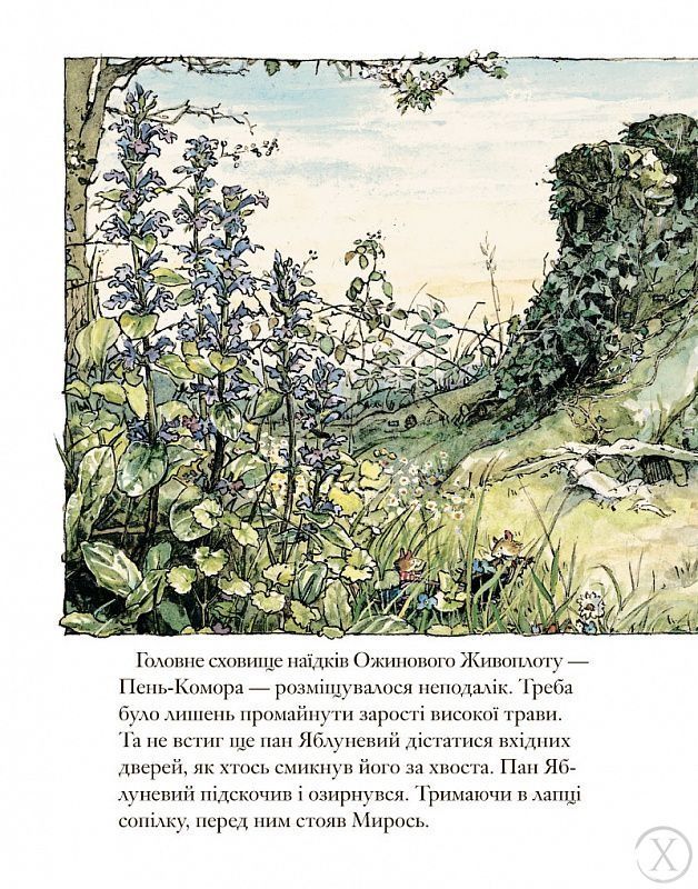 Ожиновий живопліт. Весняна історія, Wysyłka 7-28 dni