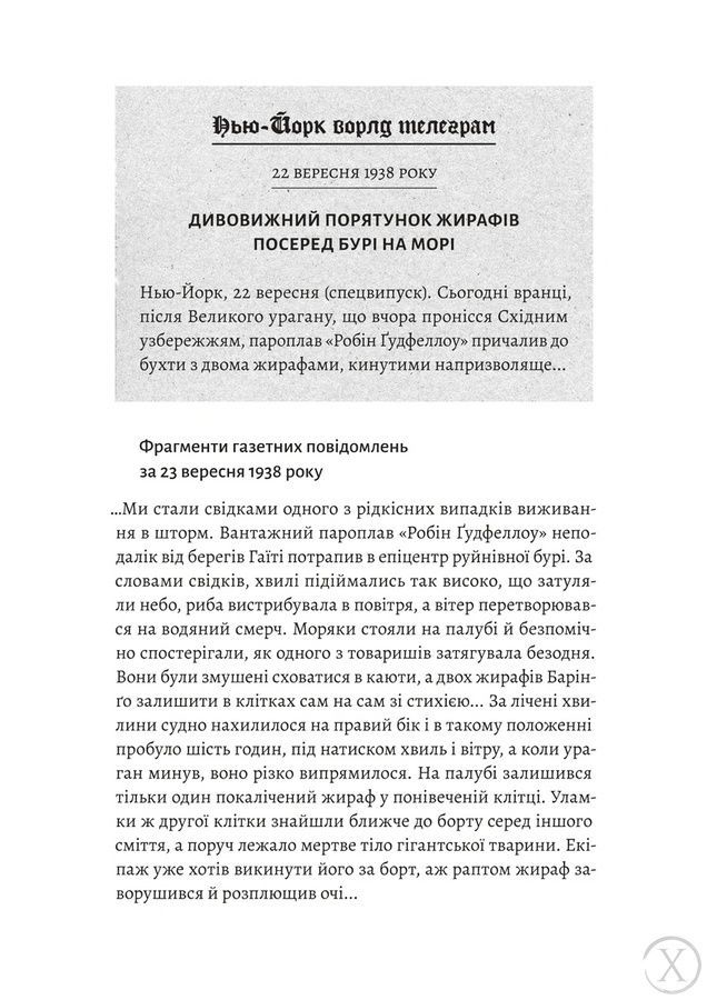 На захід із жирафами 26565 фото