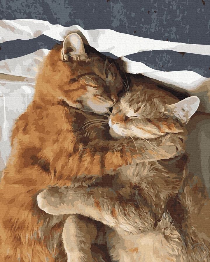 Котяча ніжність 20708 фото