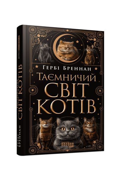 Таємничий світ котів 24788 фото