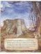 Ожиновий живопліт. Зимова історія 11630 фото 3