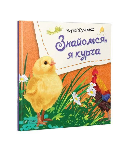 Знайомся, я курча 5743 фото
