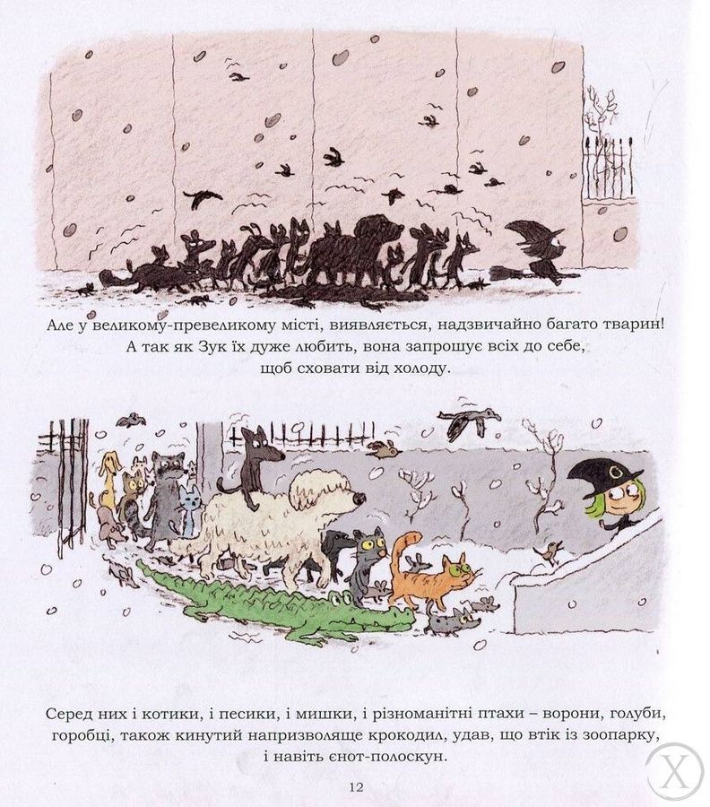 Зук. Маленька відьма з великим серцем. Книга 1 22239 фото