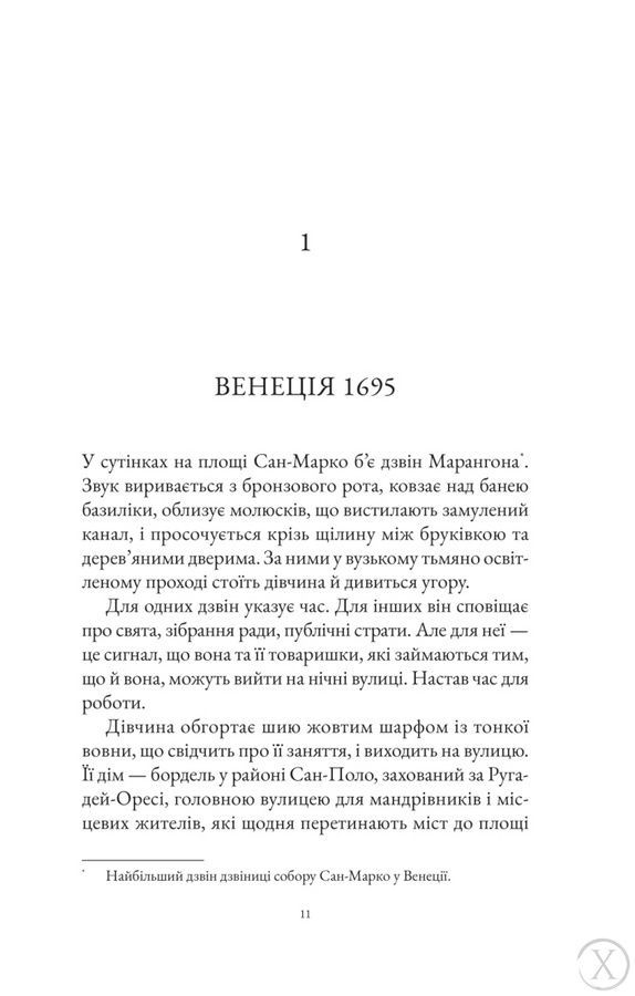 Інструменталістка 25824 фото