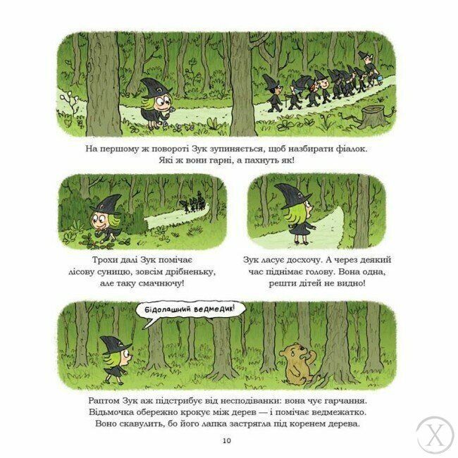 Зук. Відьомські секрети. Книга 8 22247 фото