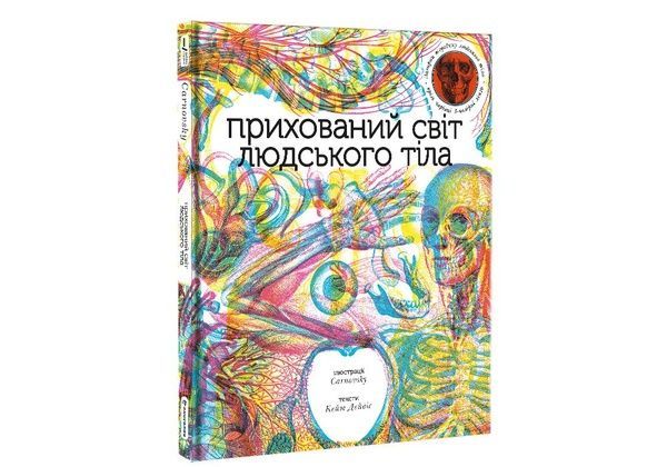 Прихований світ людського тіла 736 фото