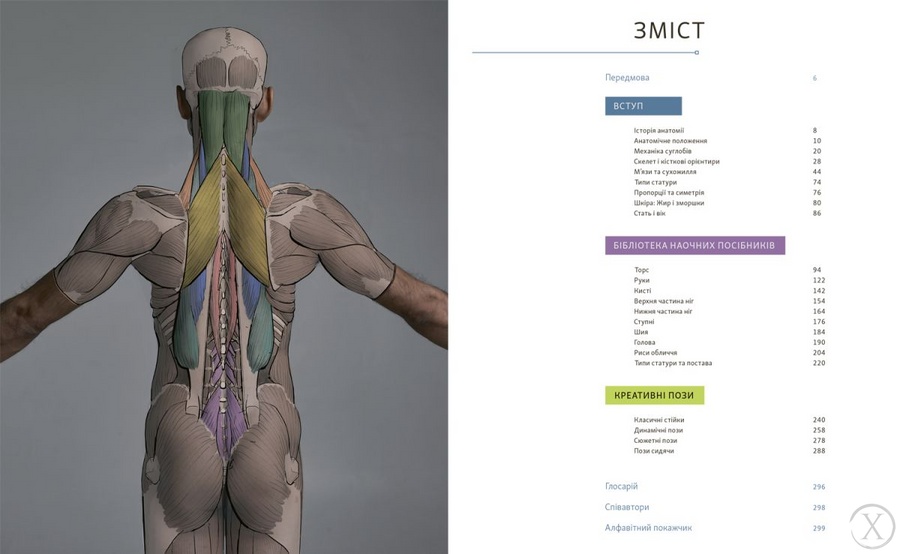Анатомія для художників: Наочний посібник із зображення людського тіла, Wysyłamy w 24H