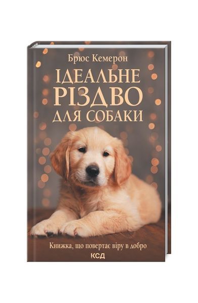 Ідеальне Різдво для собаки, Nie wiadomo