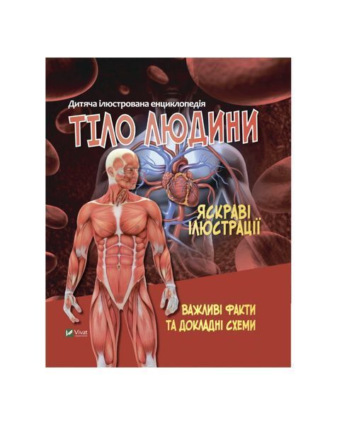 Тіло людини 11184 фото