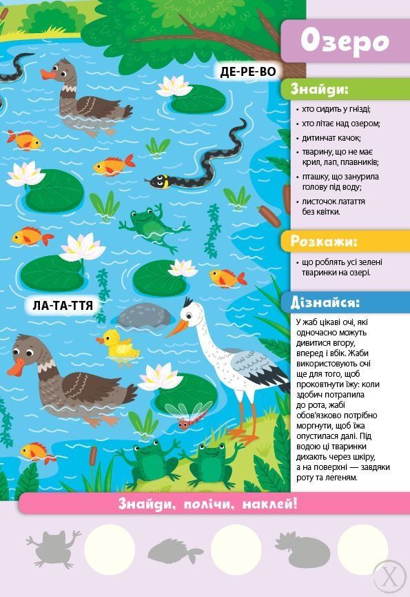 Знайди! Прочитай! Полічи! Лісова родина (+ наліпки), Nie wiadomo