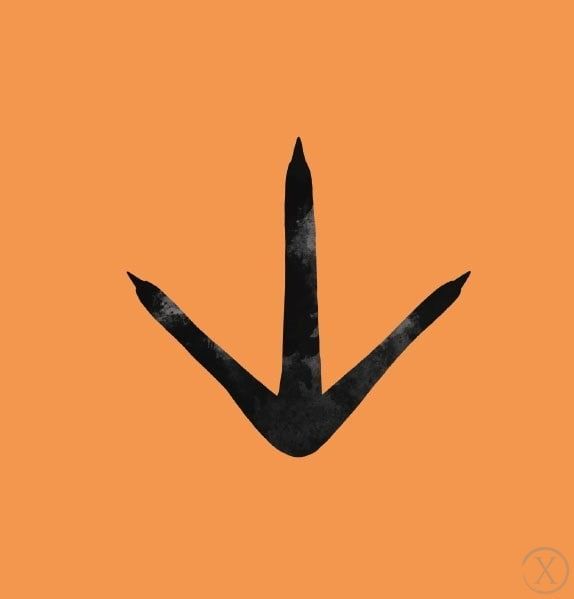 Слідами тварин. На фермі 11594 фото