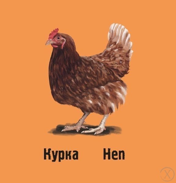 Слідами тварин. На фермі 11594 фото