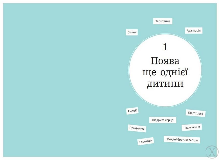1, 2, 3, брати й сестри. Як мирити дітей і знаходити в сім&rsquo;ї комфортне місце для кожного 26001 фото