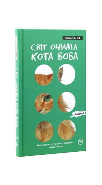 Світ очима кота Боба 19718 фото