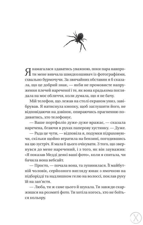 Що приховує ліс 24825 фото