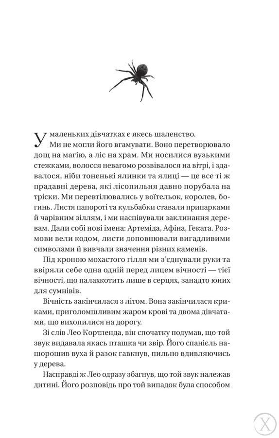 Що приховує ліс 24825 фото