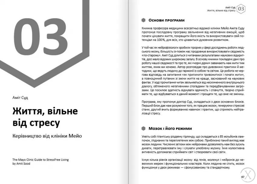 Здоровий і щасливий рік. Щастя. Збірник самарі + аудіокнижка, Wysyłka 7-28 dni